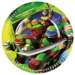 Teenage Mutant Hero Turtles Logo